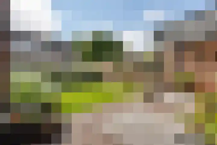 Elzenpad 7 Kessel thumbnail 43