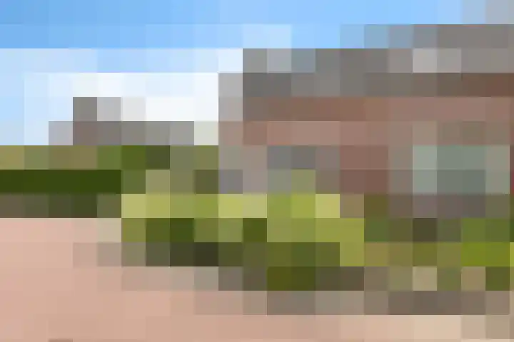Elzenpad 7 Kessel thumbnail 48