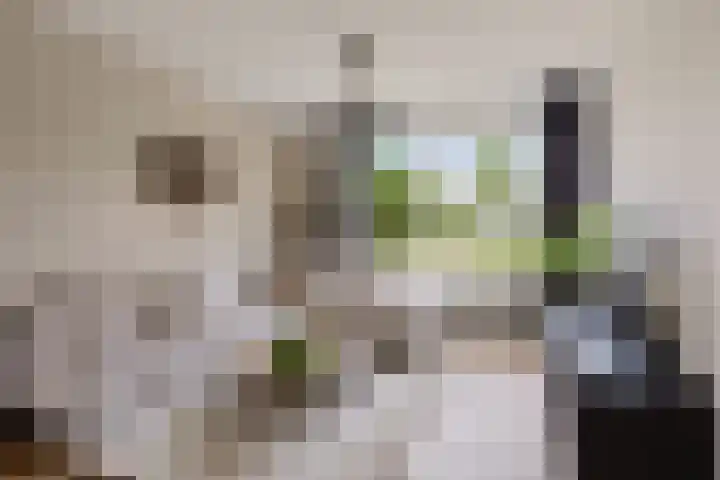 Elzenpad 7 Kessel thumbnail 9