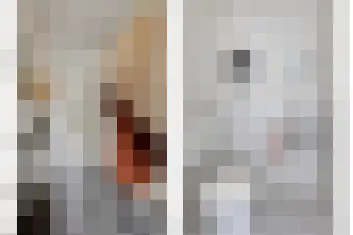 Elzenseloop 15 Heesch thumbnail 10