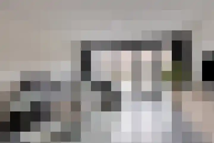 Elzenseloop 15 Heesch thumbnail 11
