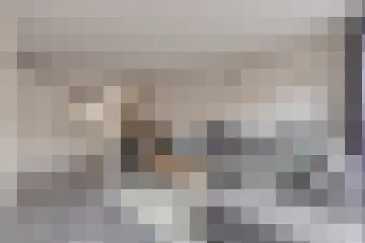 Elzenseloop 15 Heesch thumbnail 12