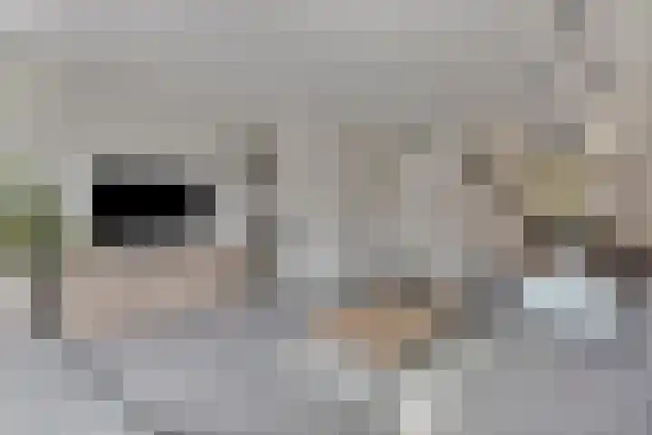Elzenseloop 15 Heesch thumbnail 14