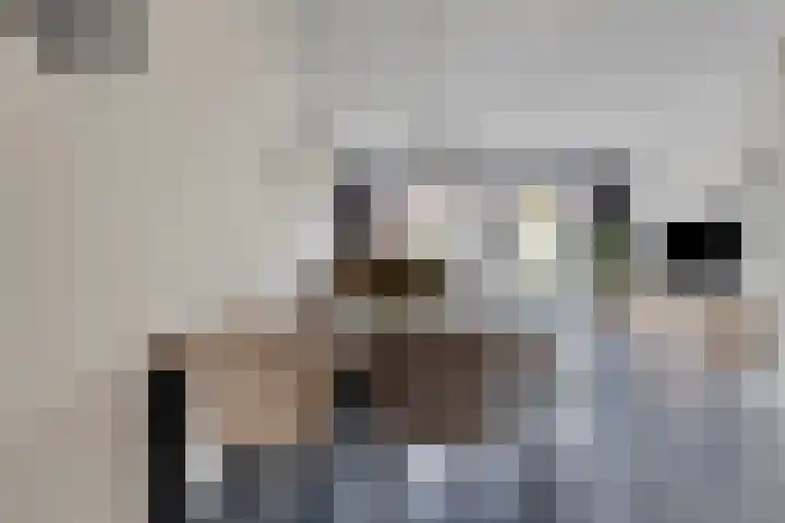 Elzenseloop 15 Heesch thumbnail 16