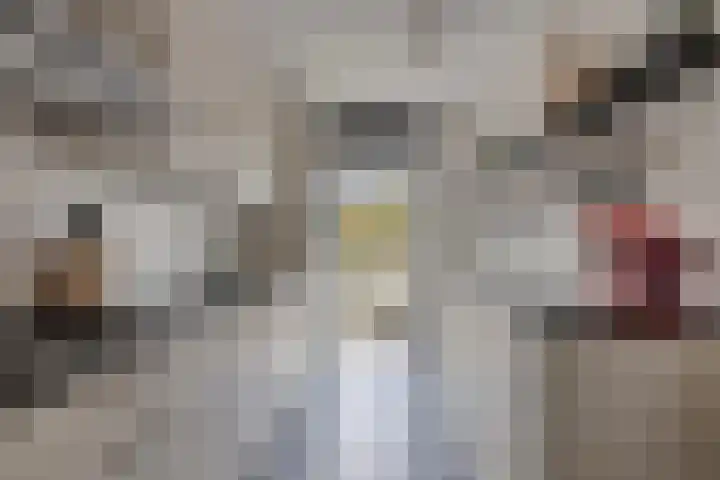 Elzenseloop 15 Heesch thumbnail 18