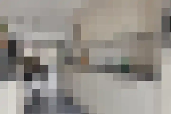Elzenseloop 15 Heesch thumbnail 19