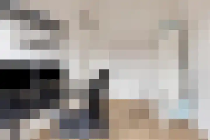 Elzenseloop 15 Heesch thumbnail 25