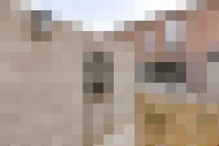 Elzenseloop 15 Heesch thumbnail 32