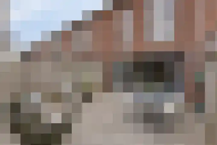 Elzenseloop 15 Heesch thumbnail 34