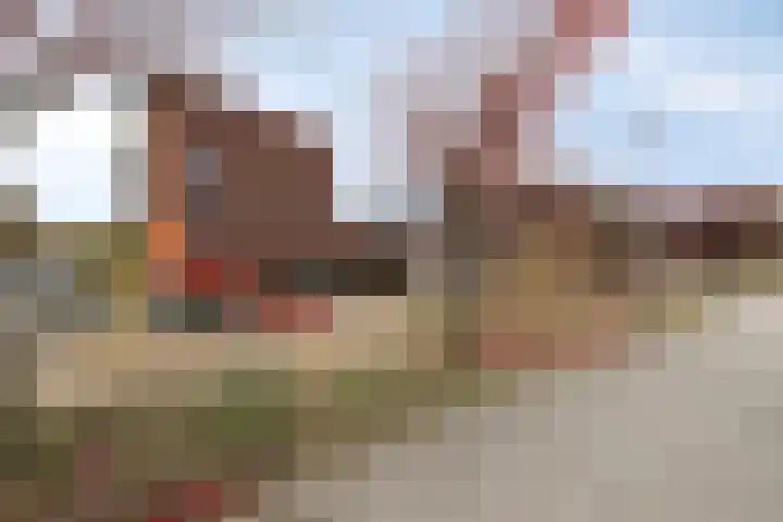 Elzenseloop 15 Heesch thumbnail 35