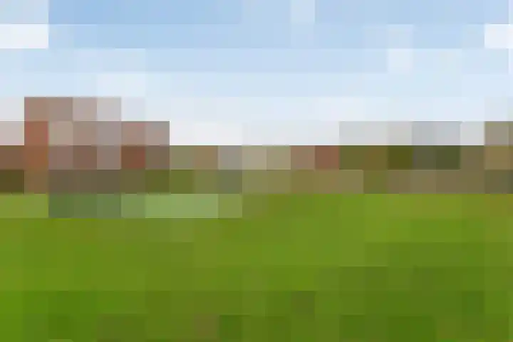 Elzenseloop 15 Heesch thumbnail 37