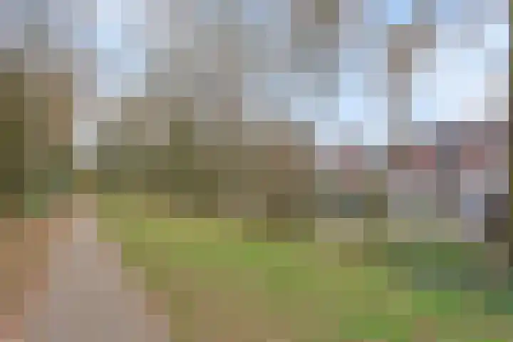 Elzenseloop 15 Heesch thumbnail 38