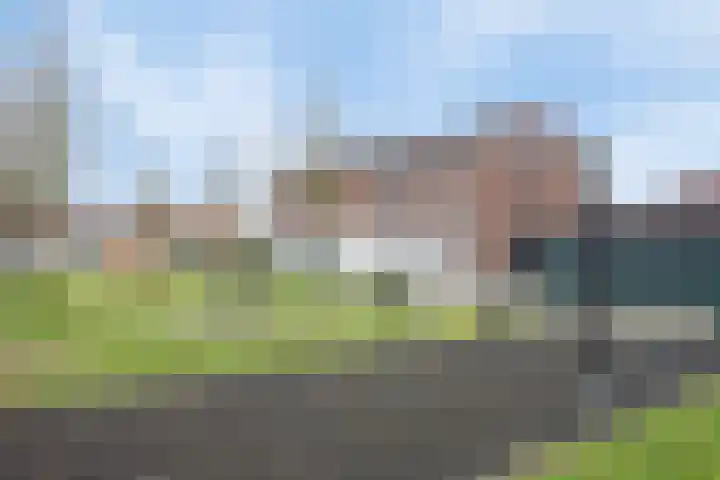 Elzenseloop 15 Heesch thumbnail 39