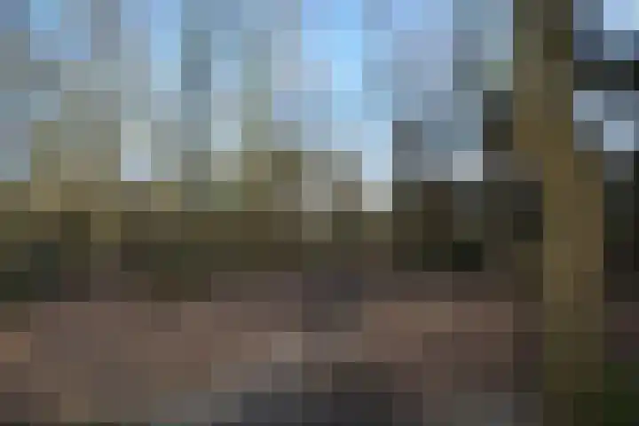 Elzenseloop 15 Heesch thumbnail 41