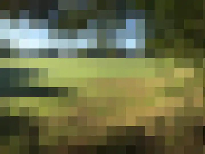 Elzenseloop 15 Heesch thumbnail 42