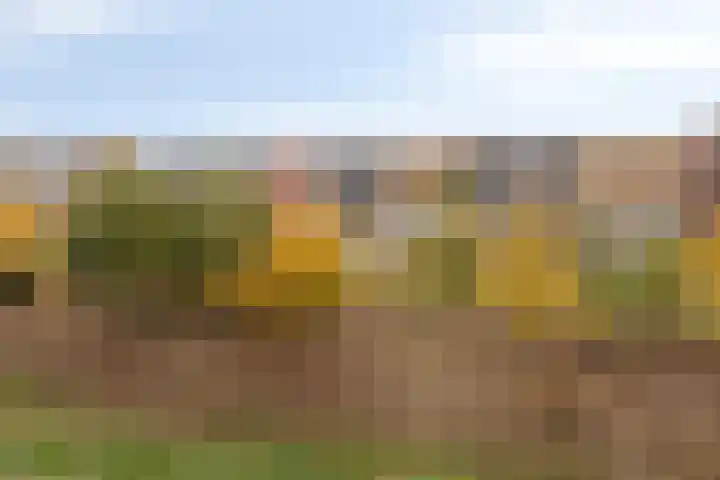 Elzenseloop 15 Heesch thumbnail 8