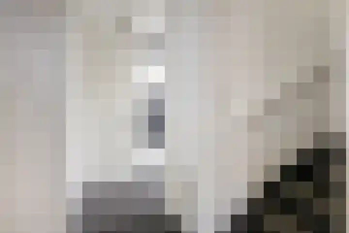 Elzenseloop 20 Heesch thumbnail 10