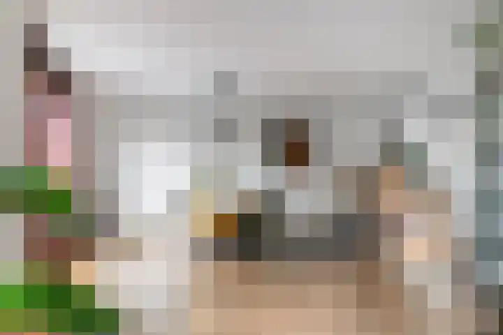 Elzenseloop 20 Heesch thumbnail 14