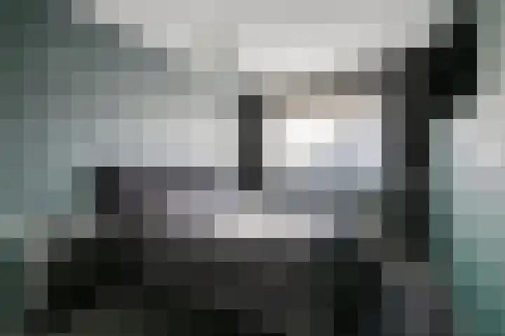 Elzenseloop 20 Heesch thumbnail 25