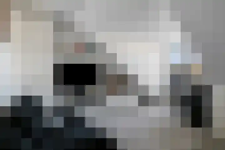 Elzenseloop 20 Heesch thumbnail 33