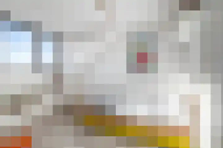 Elzenseloop 20 Heesch thumbnail 36