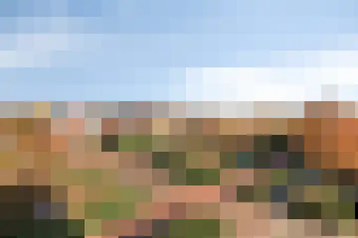 Elzenseloop 20 Heesch thumbnail 38