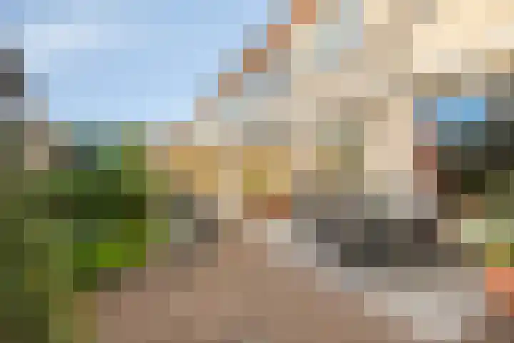 Elzenseloop 20 Heesch thumbnail 39