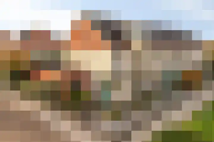 Elzenseloop 20 Heesch thumbnail 4