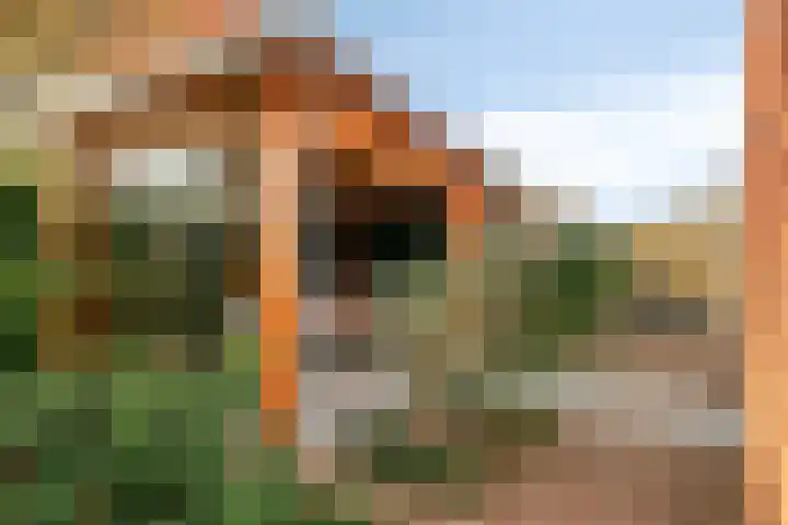 Elzenseloop 20 Heesch thumbnail 42