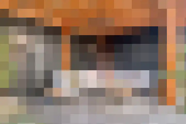 Elzenseloop 20 Heesch thumbnail 43