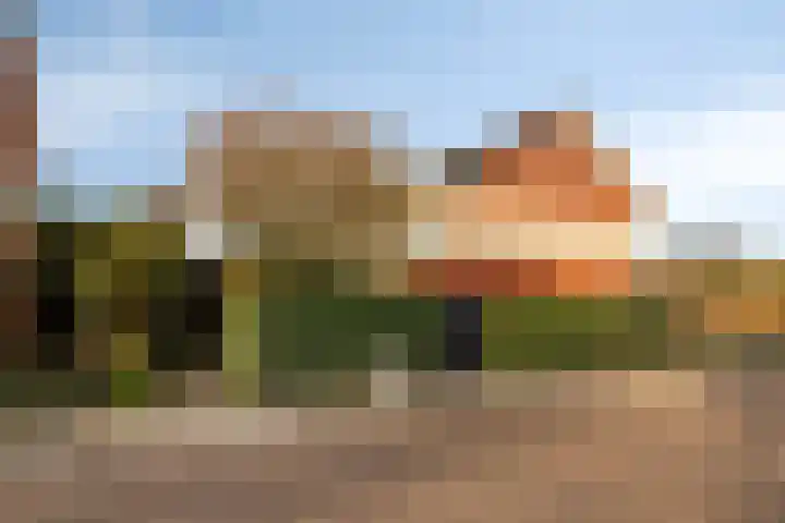 Elzenseloop 20 Heesch thumbnail 48