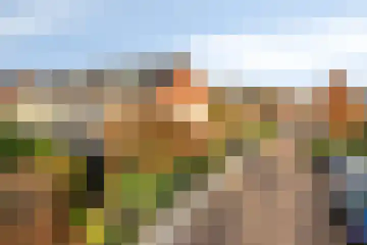 Elzenseloop 20 Heesch thumbnail 49
