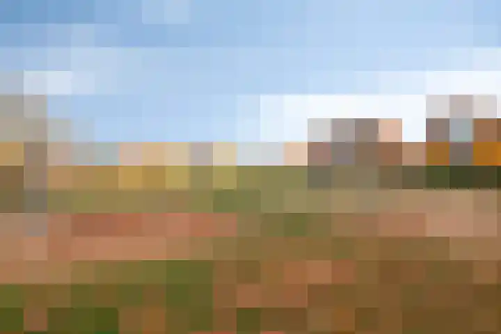 Elzenseloop 20 Heesch thumbnail 50