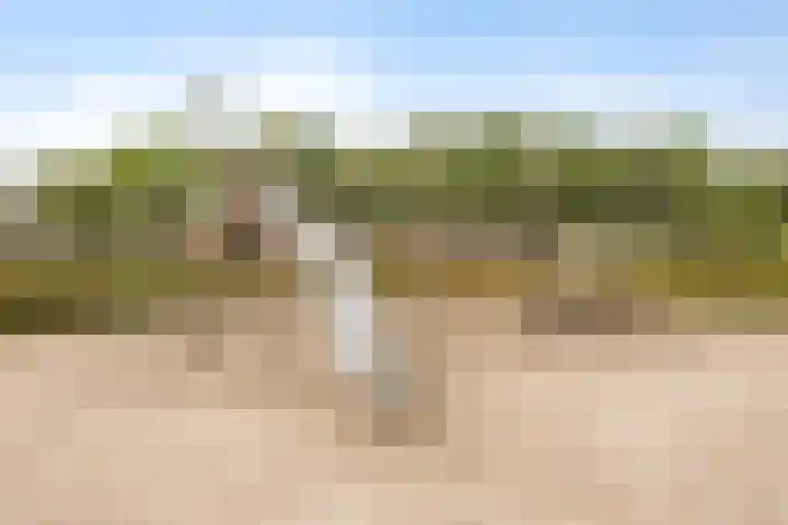 Elzenseloop 20 Heesch thumbnail 51