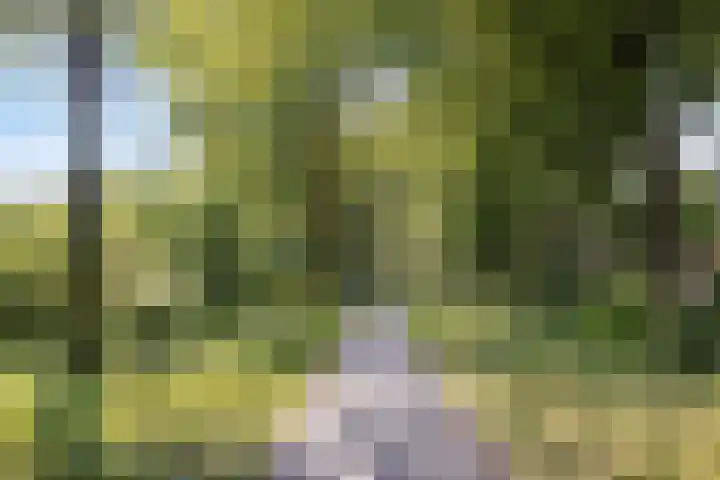 Elzenseloop 20 Heesch thumbnail 52