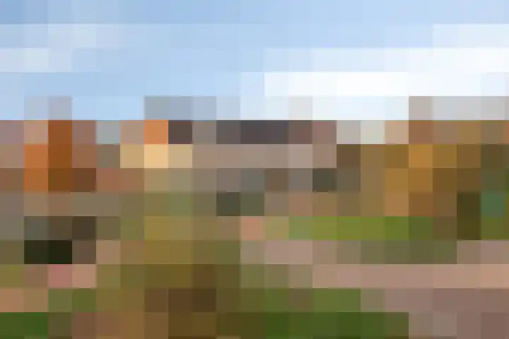 Elzenseloop 20 Heesch thumbnail 9