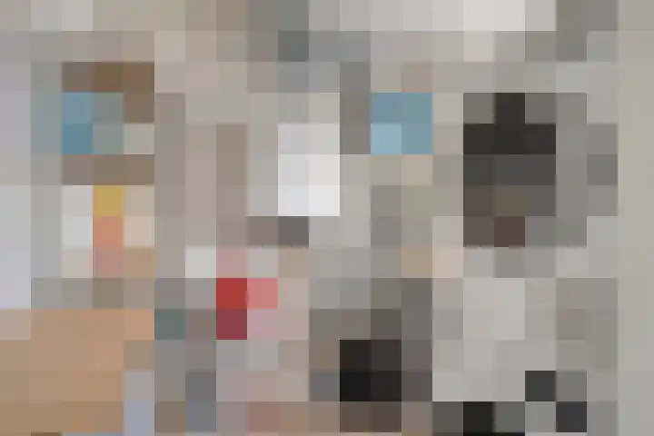 Elzenseloop 60 Heesch thumbnail 21