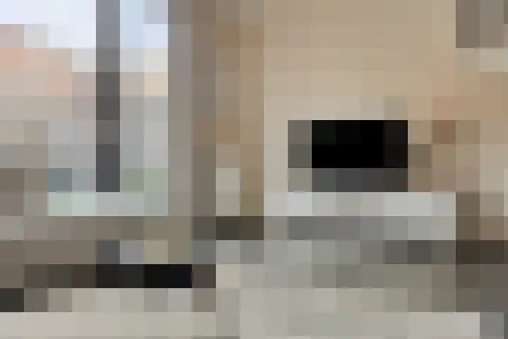 Elzenseloop 60 Heesch thumbnail 5