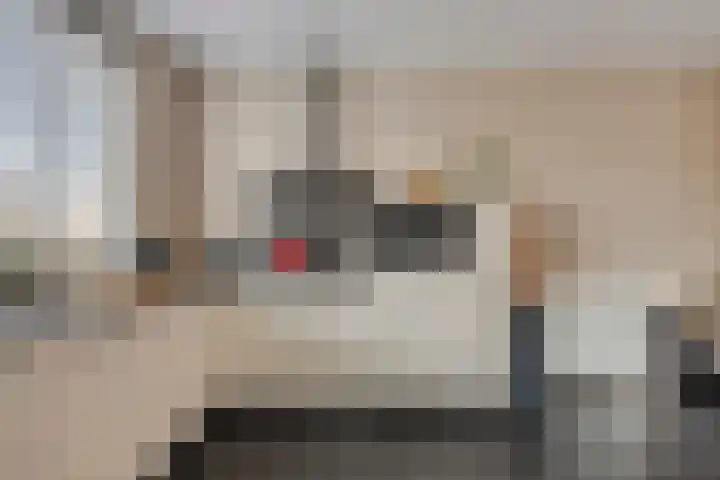 Elzenseloop 60 Heesch thumbnail 6