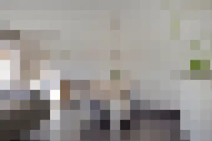 Elzenseloop 8 Heesch thumbnail 13