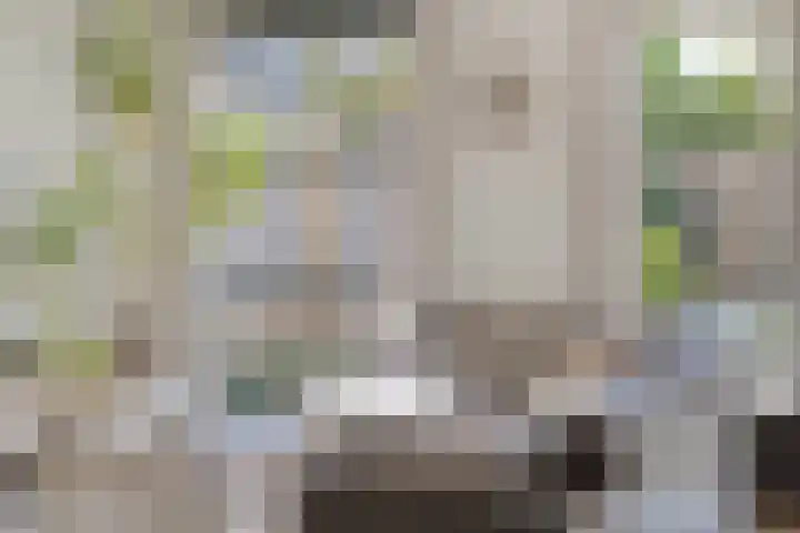 Elzenseloop 8 Heesch thumbnail 14