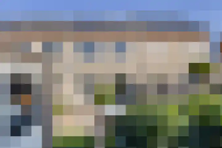 Elzenseloop 8 Heesch thumbnail 31