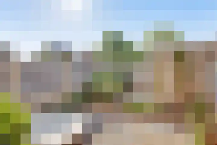 Elzenseloop 8 Heesch thumbnail 32