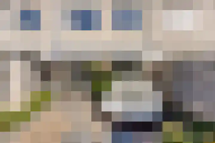 Elzenseloop 8 Heesch thumbnail 34
