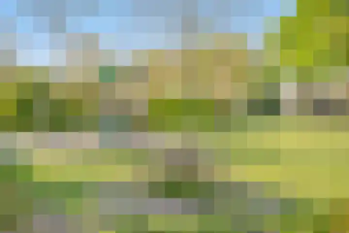 Elzenseloop 8 Heesch thumbnail 35
