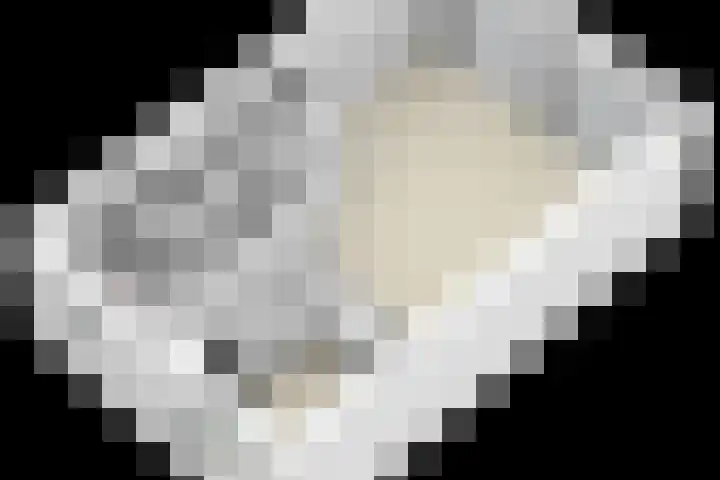 Elzenseloop 8 Heesch thumbnail 43