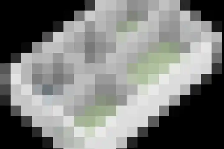 Elzenseloop 8 Heesch thumbnail 45