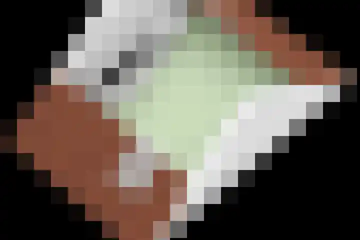 Elzenseloop 8 Heesch thumbnail 47