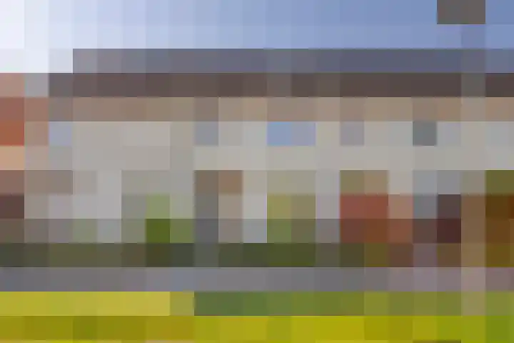 Elzenseloop 8 Heesch thumbnail 6