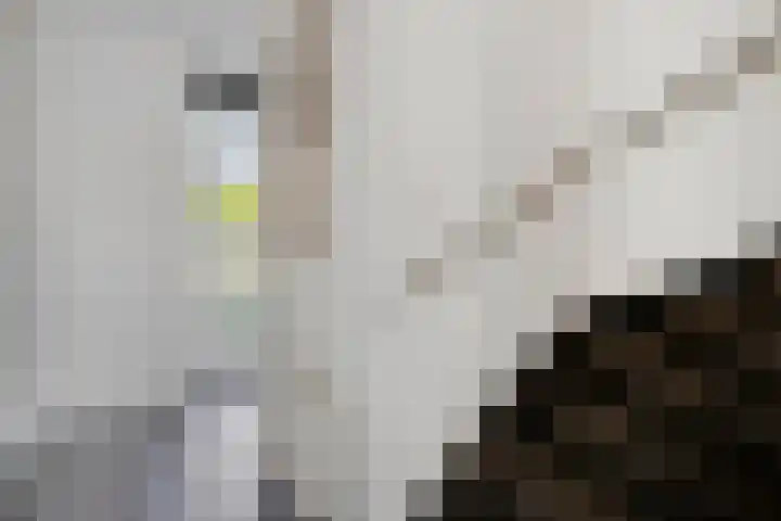 Elzenseloop 8 Heesch thumbnail 7